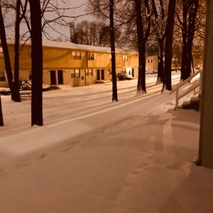 日本熟妇毛多黑毛
