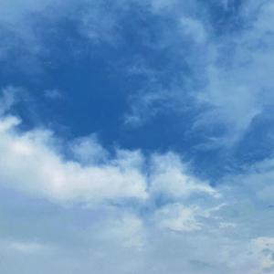 日本熟妇毛多黑毛
